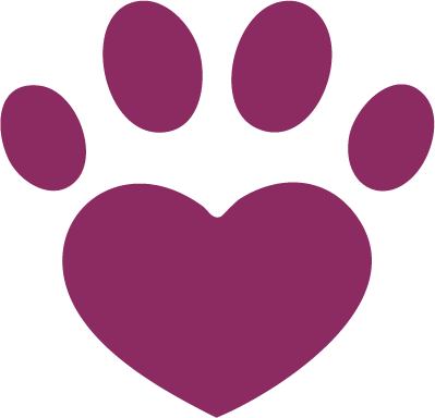 djuriverse favicon